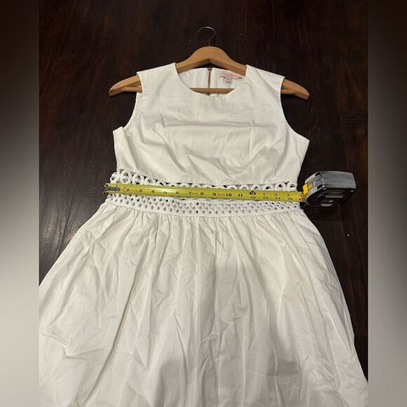Ted Baker London A-line White Crochet Panel Dress-Rose Gold Tone Zip-Size 3/M - Picture 8 of 10